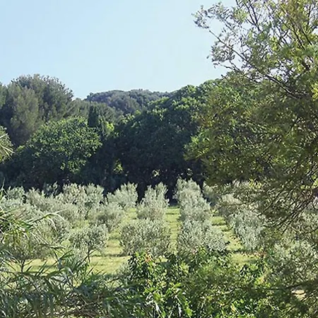Holiday home Au Jardin De La Ferme - Roses Rouges *